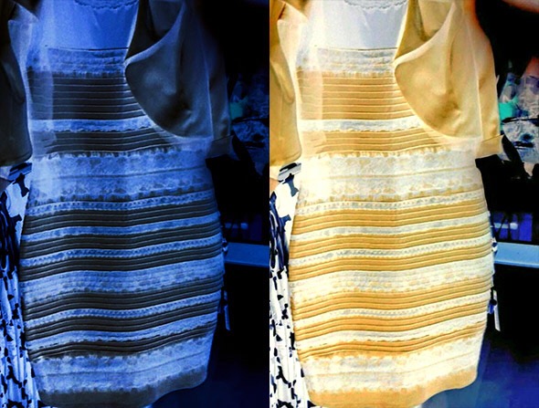 The Black and Blue, White and Gold Dress - Zenia